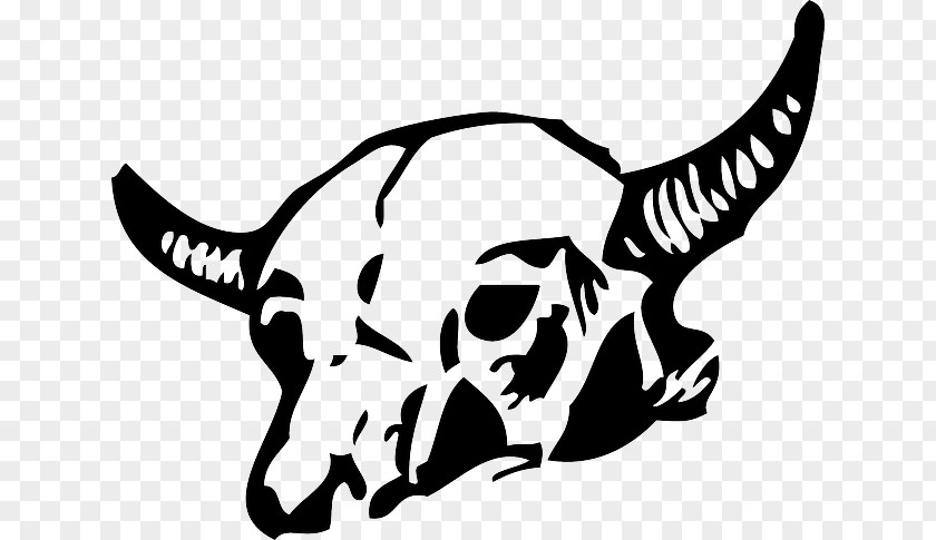 Highland Cow Outline Clip Art Skeleton Skull Openclipart Bone PNG