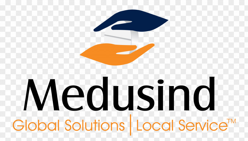 Medusind Solutions Business Medical Billing Industry Technology PNG