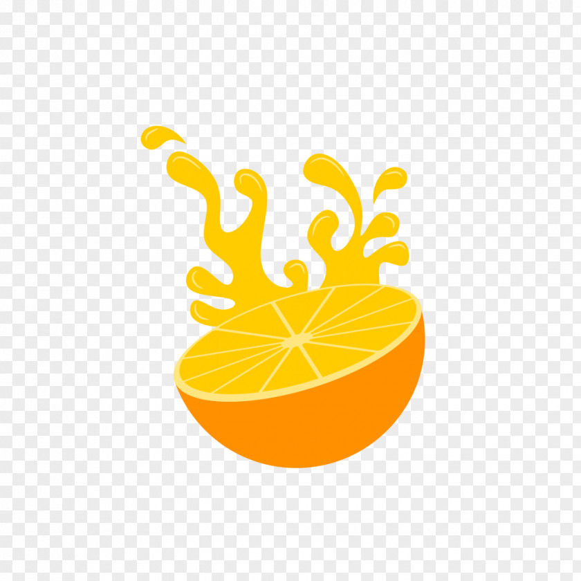 Orange Fruit Logo PNG