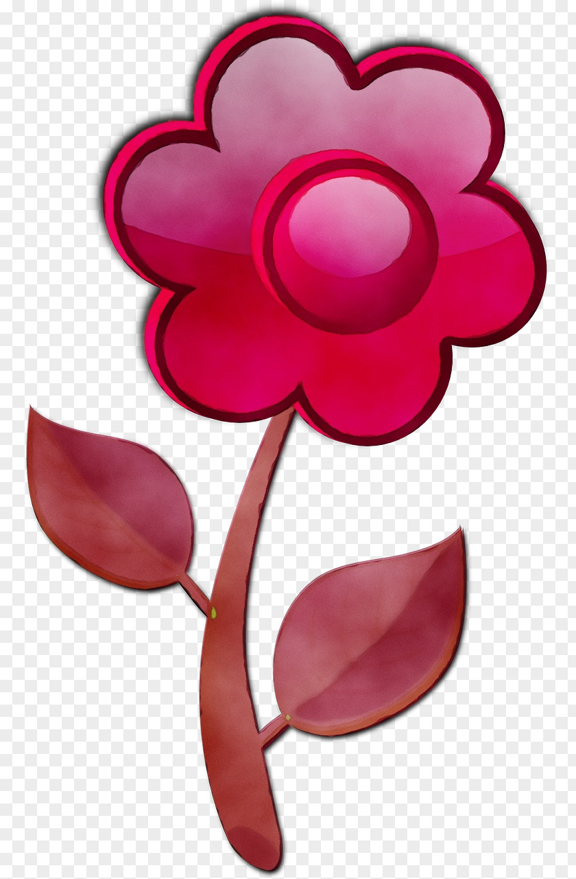 Plant Material Property Petal Cut Flowers Pink M Design PNG