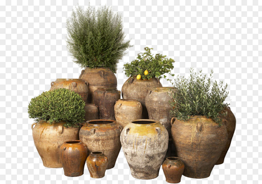 Vase Ceramic Urn Pottery Tree PNG