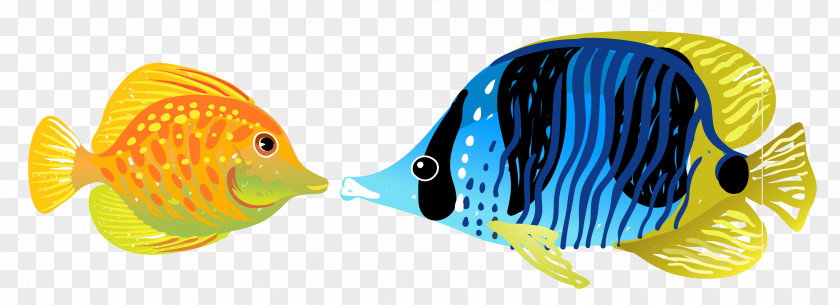 Vector Fish Aquatic Animal Illustration PNG