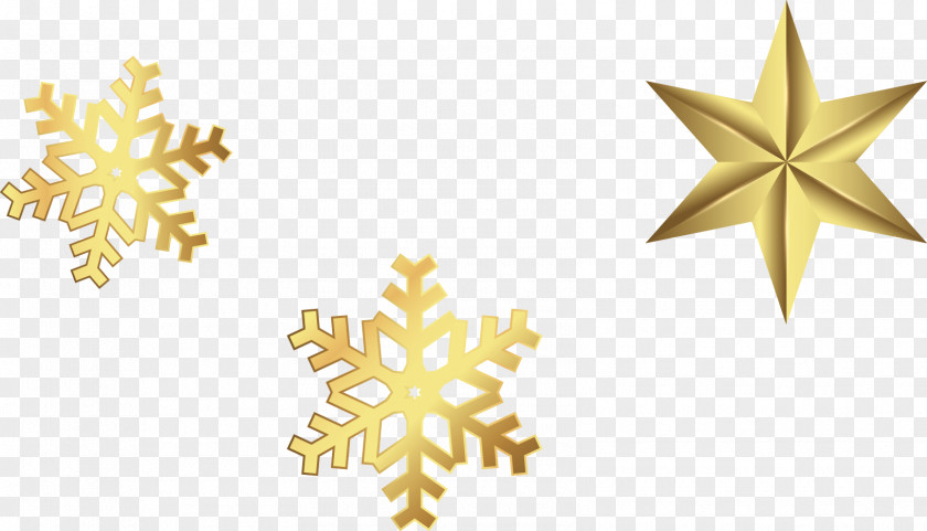 Golden Snowflake Stars Schema Computer File PNG
