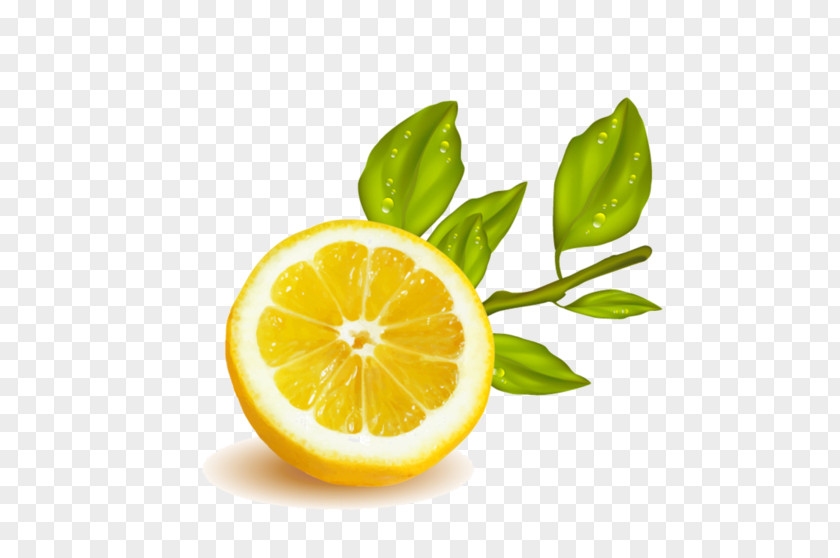 Lemon Lemon-lime Drink Rangpur Citrus Junos PNG