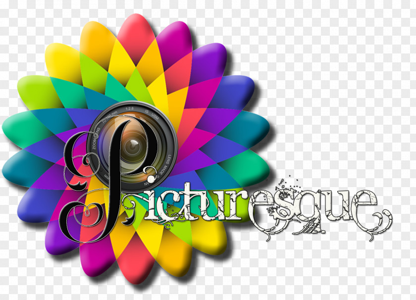 Picturesque High-dynamic-range Imaging Camera Photography Color PNG