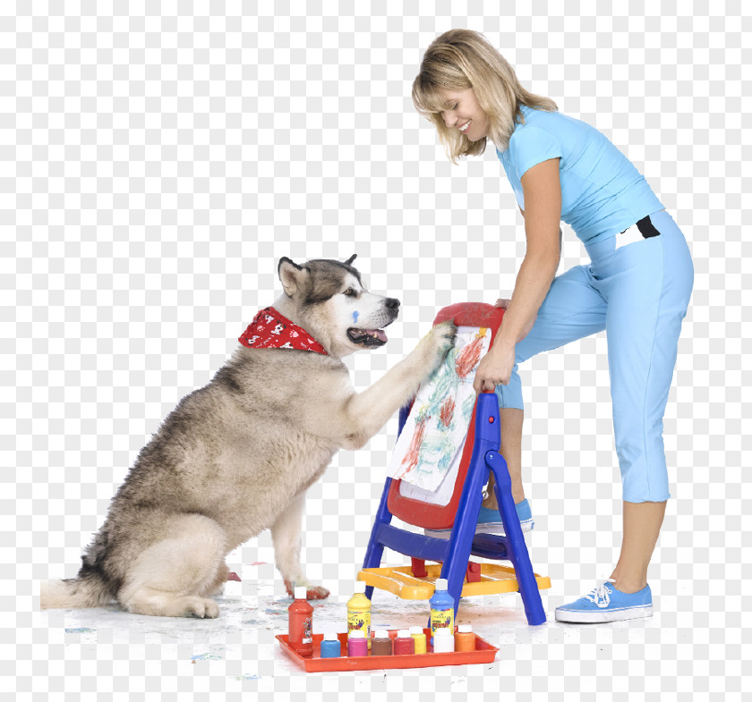 Puppy Dog Breed Leash Obedience Training PNG