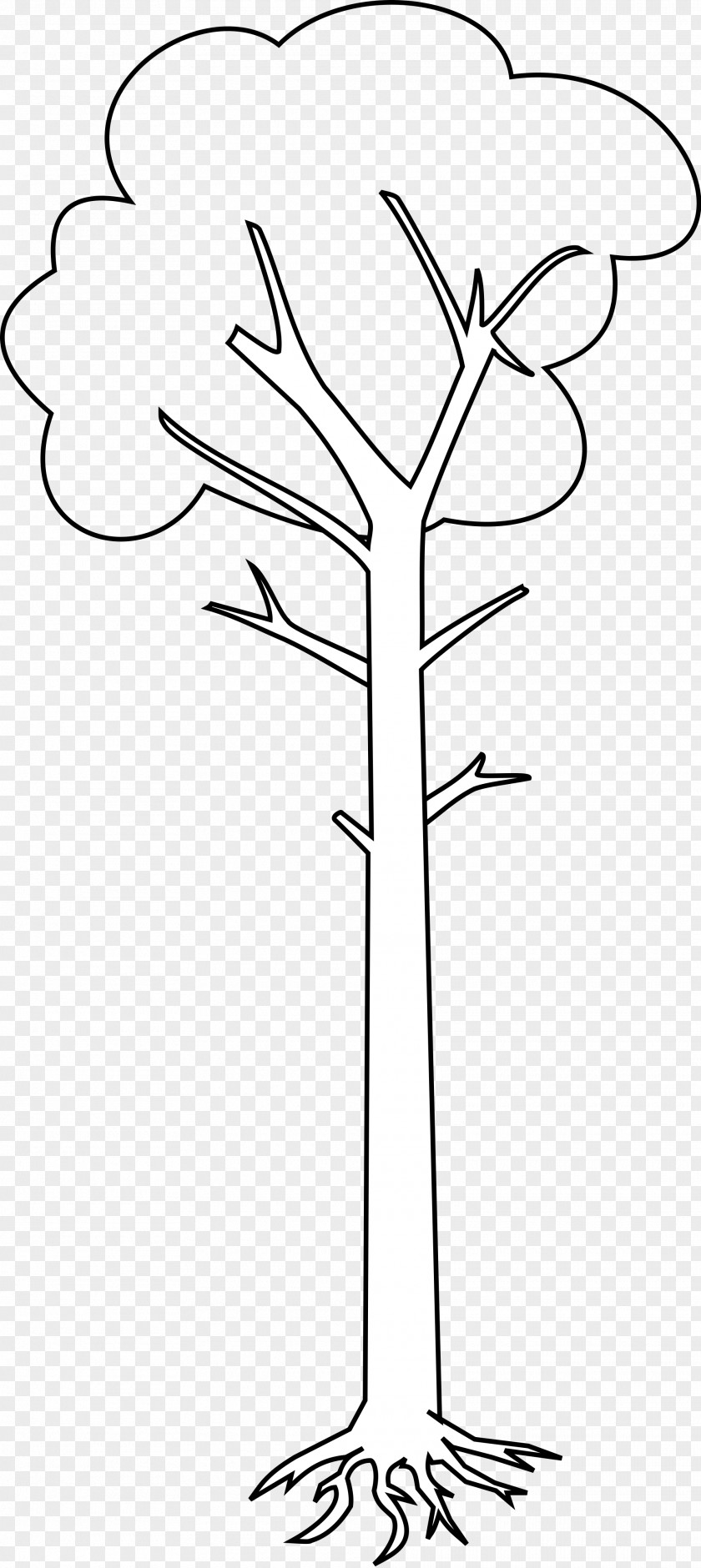 Tree Clip Art Free Content Image PNG