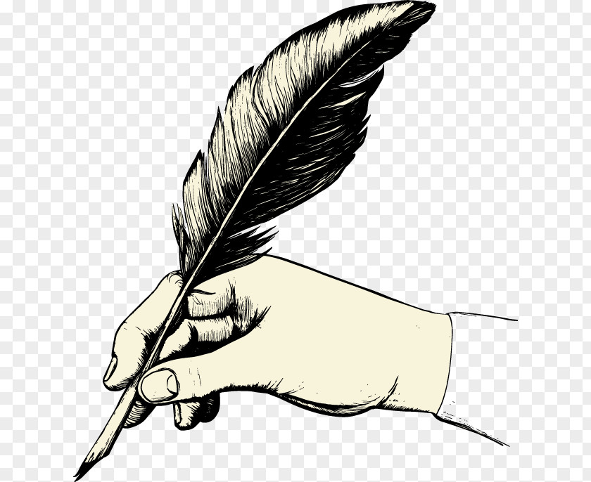 Feather Paper Quill Pen Clip Art PNG