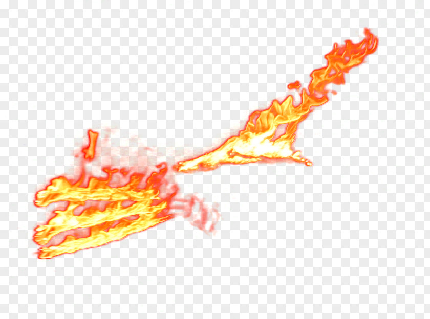 Flame Download Fire PNG