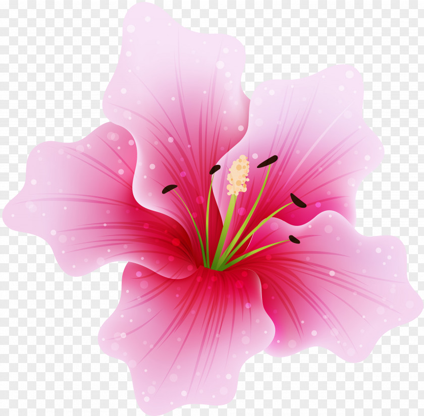 Flower Drawing Pink Flowers Clip Art PNG