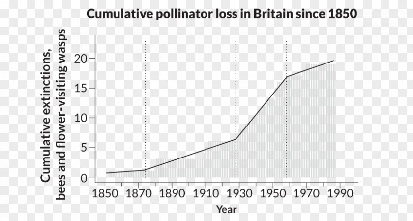 Honeybee Population Graph Bee Pollinator Decline Pollination Wasp PNG