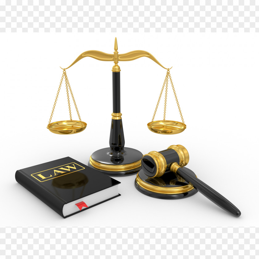 Lawyer Law Firm Bankruptcy Tort PNG