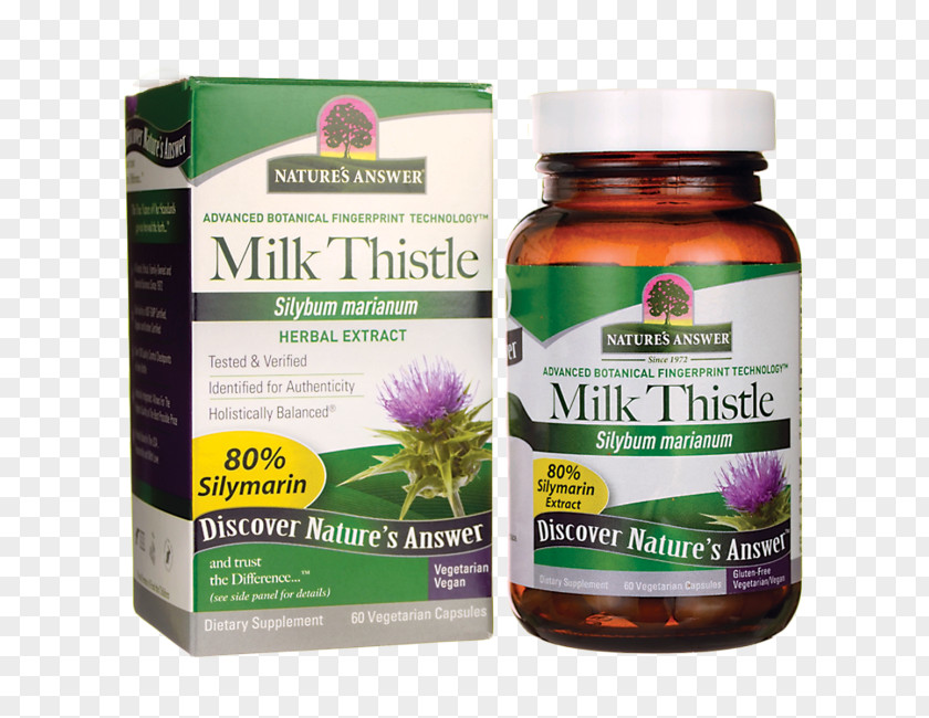 Milk Thistle Herb Dietary Supplement Extract Capsule PNG