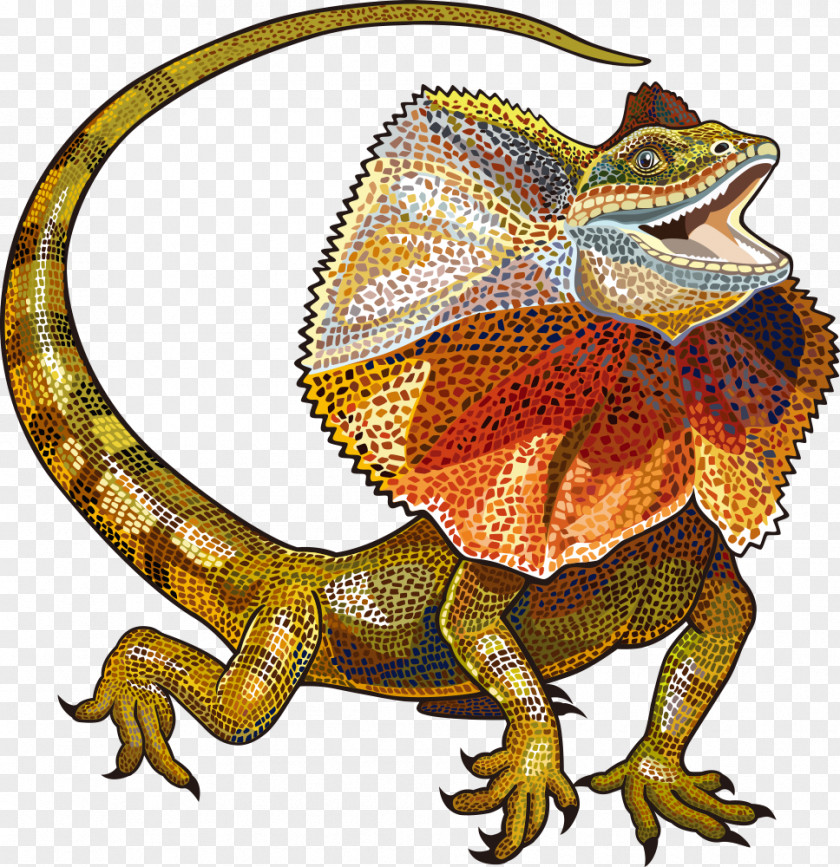 Vector Lizard PNG