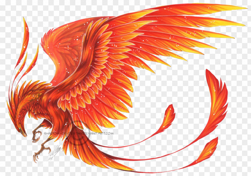 Wings Phoenix Ibong Adarna Myth Clip Art PNG