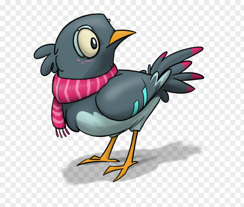 Bird Rock Dove Illustration Image PNG