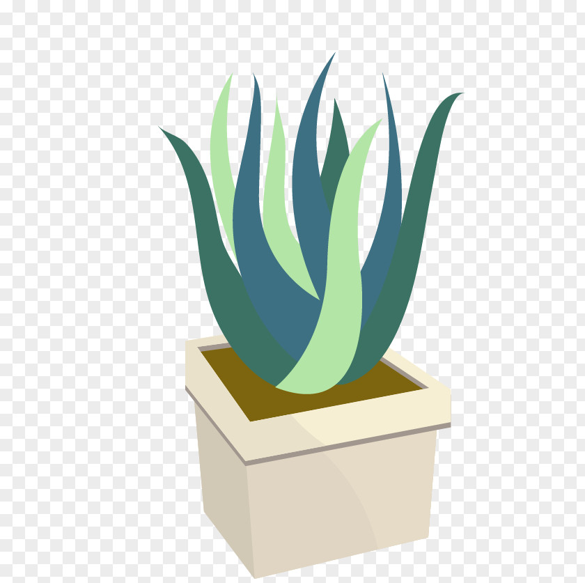 Cactus Cactaceae Prickly Pear Euclidean Vector Icon PNG