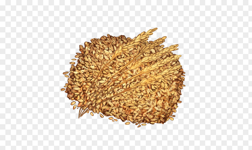 Wheat Grain Cereal Spelt Bran Seed Oat PNG