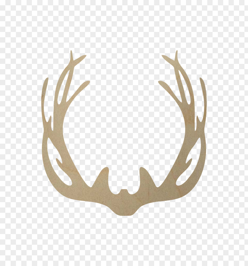 Antler Reindeer Horn Paper PNG