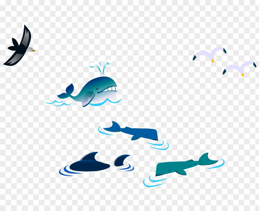 Color Vector Cartoon Whale Bird Seagull Gulls PNG