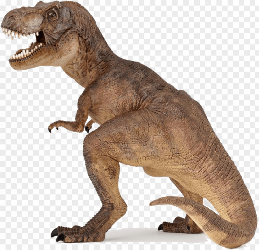 Dinosaur Tyrannosaurus Museum Velociraptor Triceratops PNG