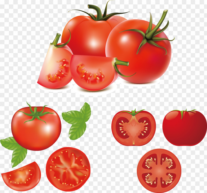 Fresh Tomatoes Hamburger Caprese Salad Tomato Clip Art PNG