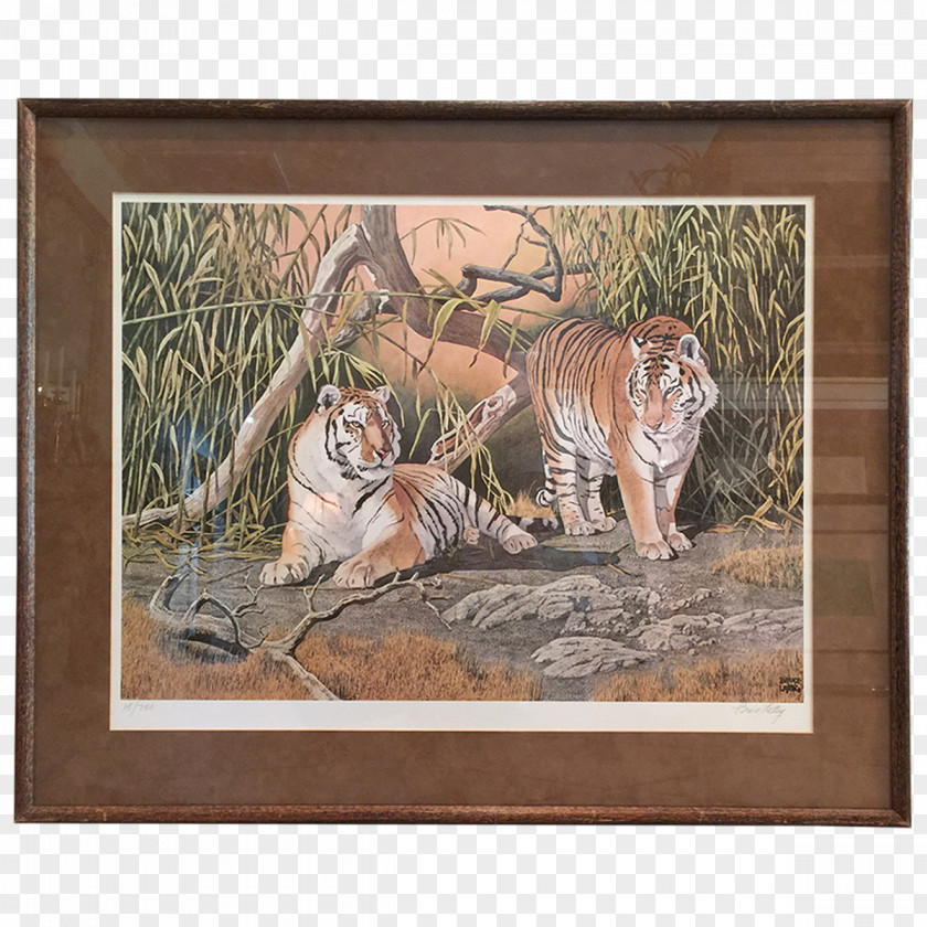 Tiger Cat Animal Wildlife Painting PNG