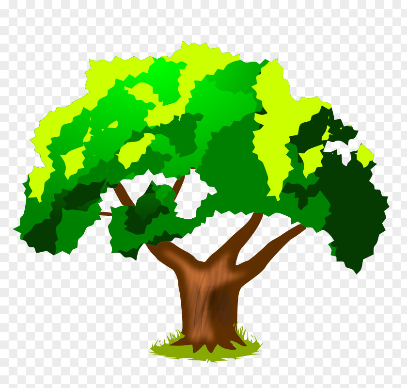 Cartoon Tree Stump Short Story Cuento Infantil Child Fable PNG