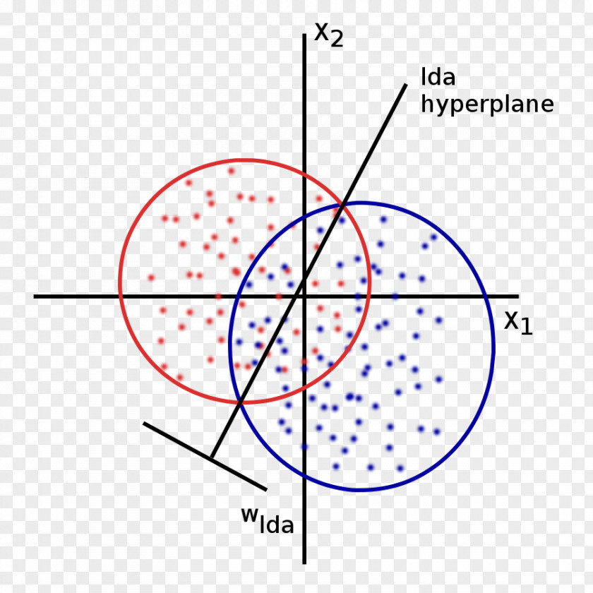 Circle Anterior Commissure Angle Anatomy PNG