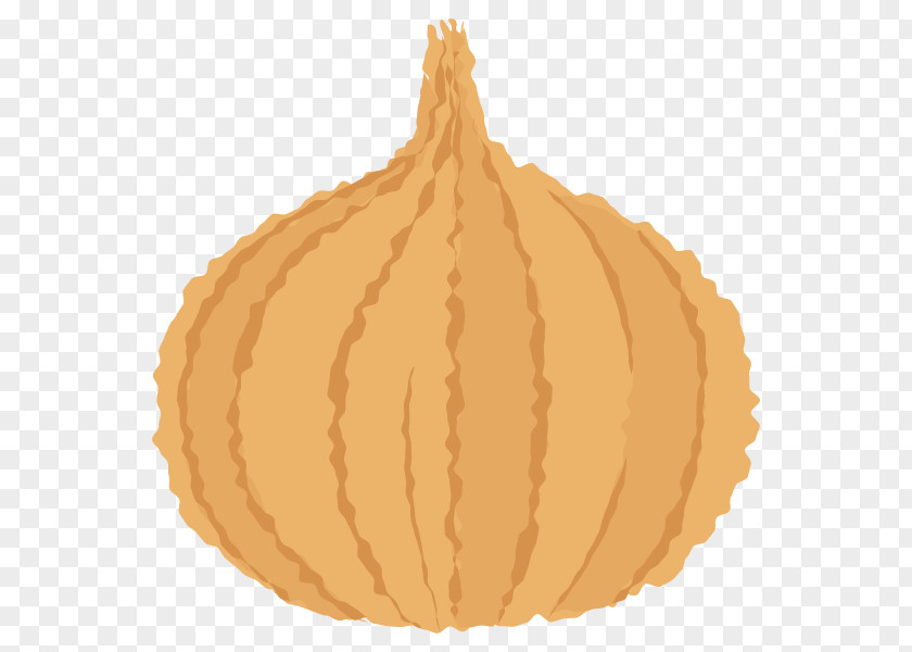 Commodity Orange S.A. PNG