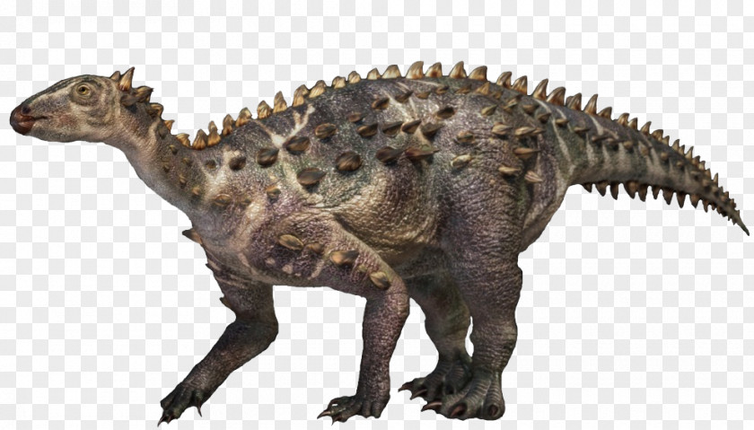Dinosaur Edmontonia Scelidosaurus Stegosaurus Gorgosaurus Sauropelta PNG