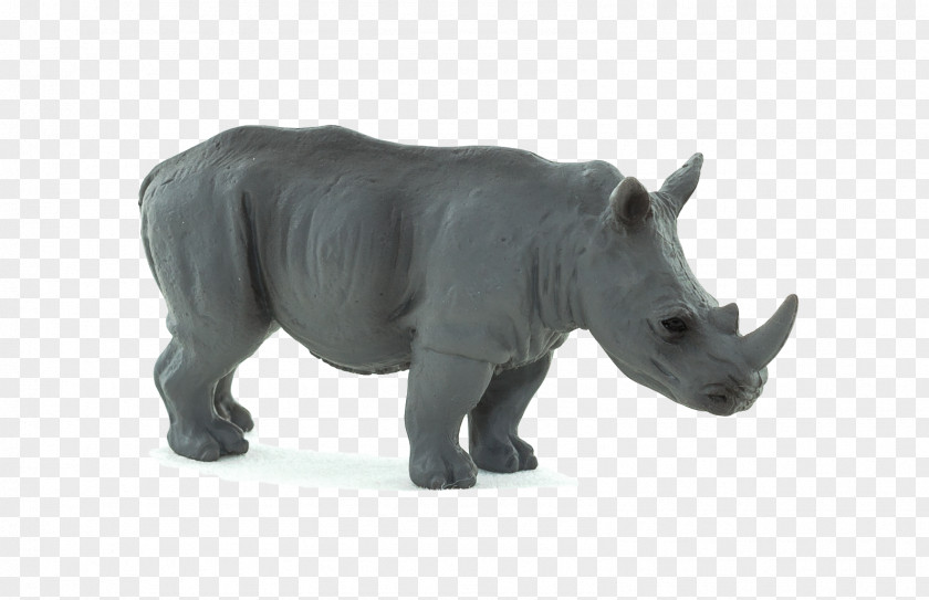 Dinosaur Rhinoceros Hippopotamus Wildlife Animal Planet PNG