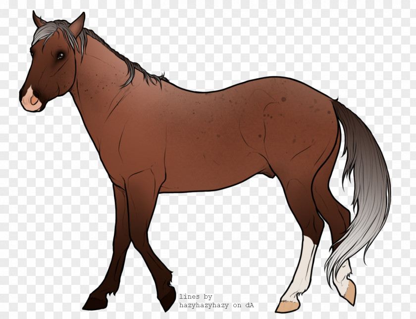 Rhubarb Dog Foal Mane Stallion Mare Mustang PNG