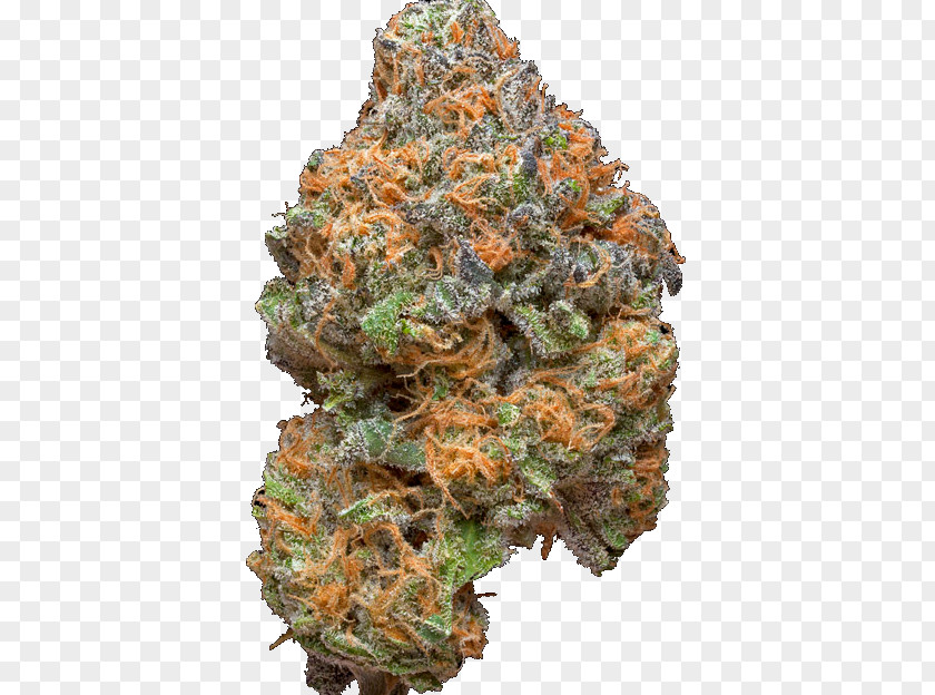 Weed Cannabis Smoking Kush Medical Shop PNG