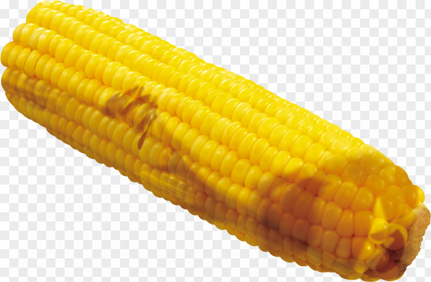 A Corn On The Cob Maize Crop Google Images PNG