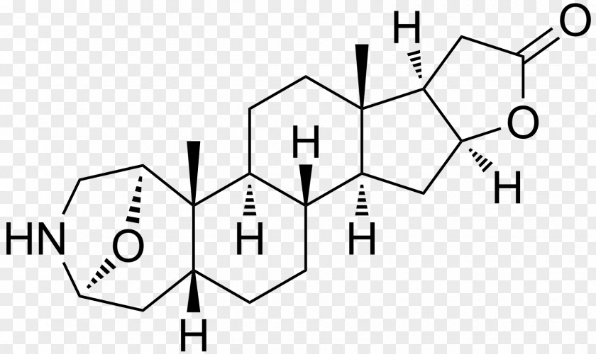 Alpine Salamander Ethinylestradiol Estrone Toronto Research Chemicals Inc. Ethynyl Estrogen PNG