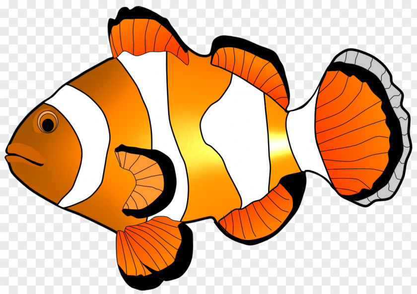 Clownfish Cliparts Fish Clip Art PNG