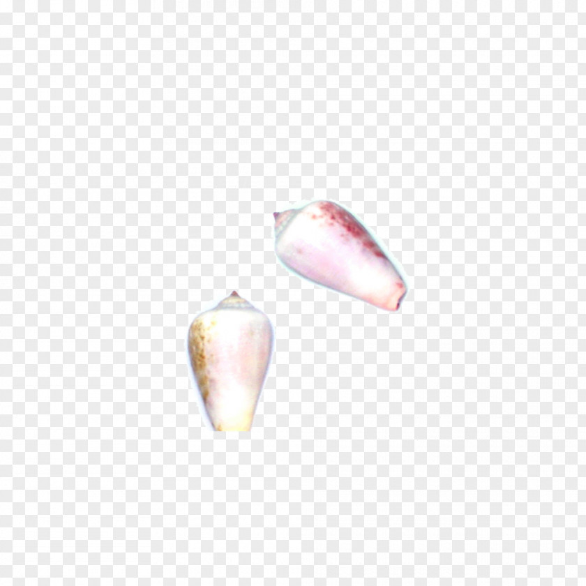 Colored Conch Petal Heart PNG