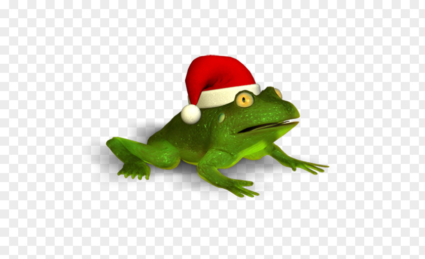 Frog True Tree Christmas Trachycephalus PNG