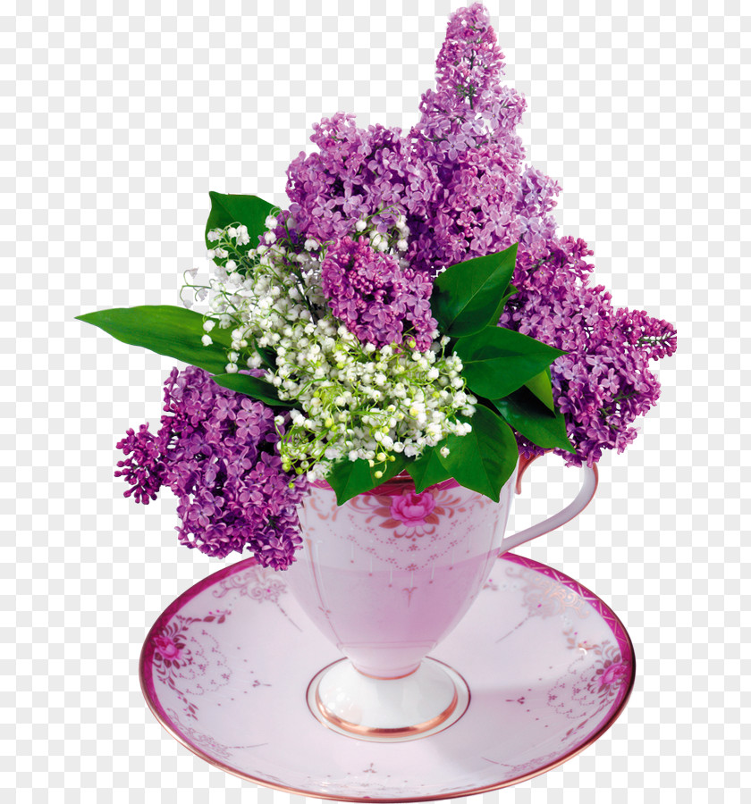 Vase Flower Bouquet Common Lilac PNG