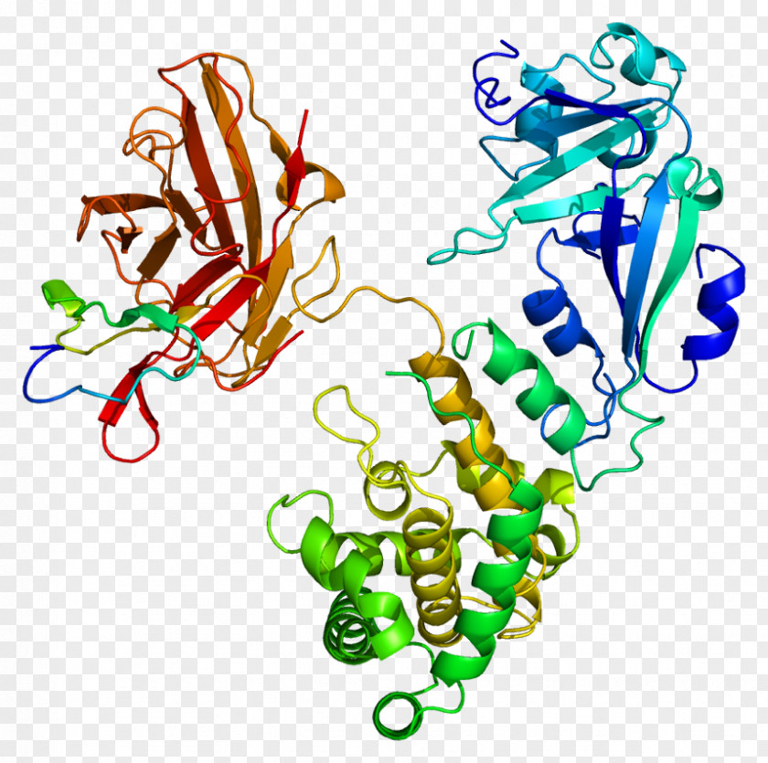 Plasma Epidermal Growth Factor Receptor Heparin-binding EGF-like Protein PNG