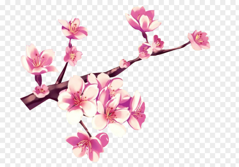 Shabby Cherry Blossom Flower Pink Gouache PNG