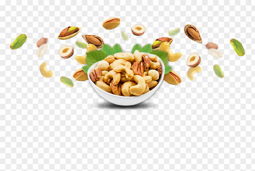 Fava Bean Roasted Walnuts Nut Clip Art Food Vegetarian Cuisine PNG