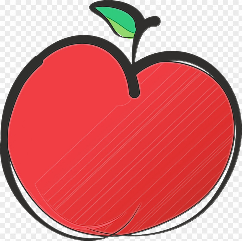 Malus Rose Order Apple Tree Drawing PNG