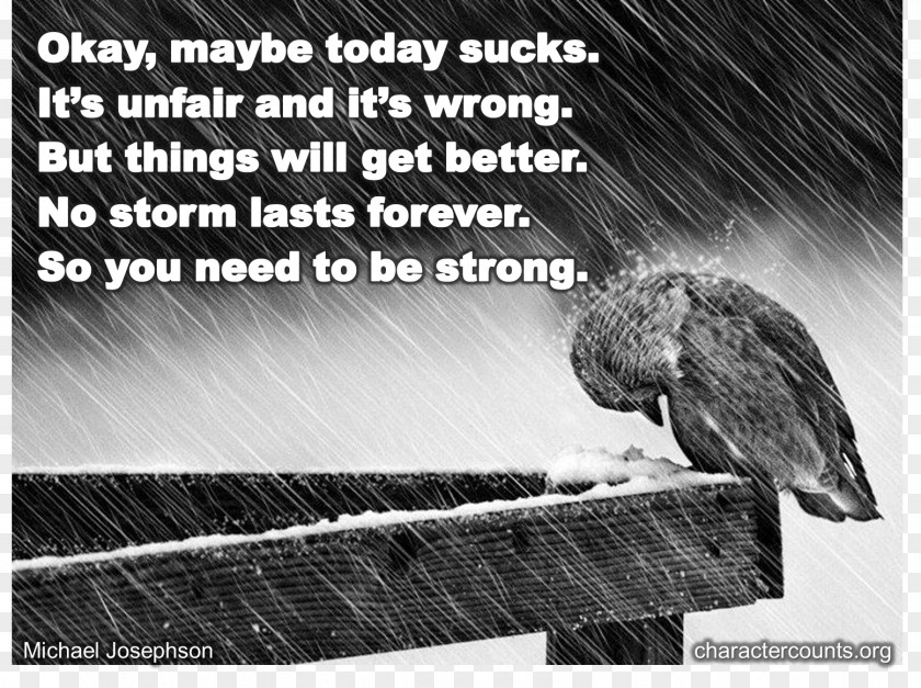 Quotation Prayer Saying Rain PNG