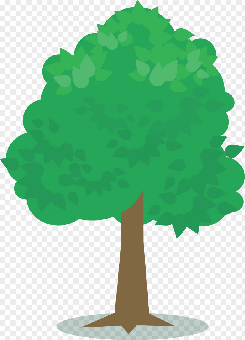 Tree Plant Albizia Julibrissin Clip Art PNG