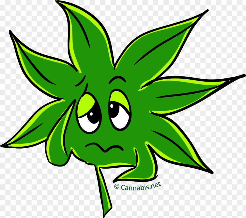 Cannabis Kush Sativa Leaf Clip Art PNG