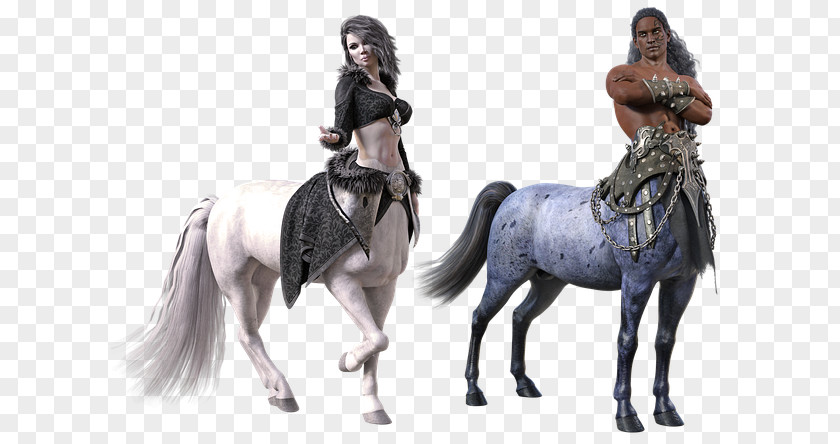 Centaur Horse Chiron Hybrid Beasts In Folklore PNG