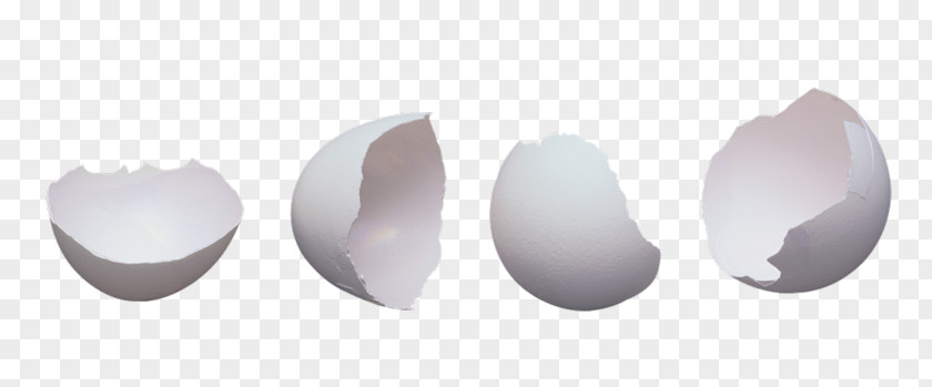 Egg Fried Image Eggshell Photography PNG