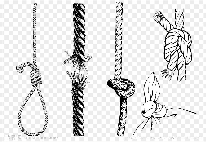Rope Knot Cdr PNG